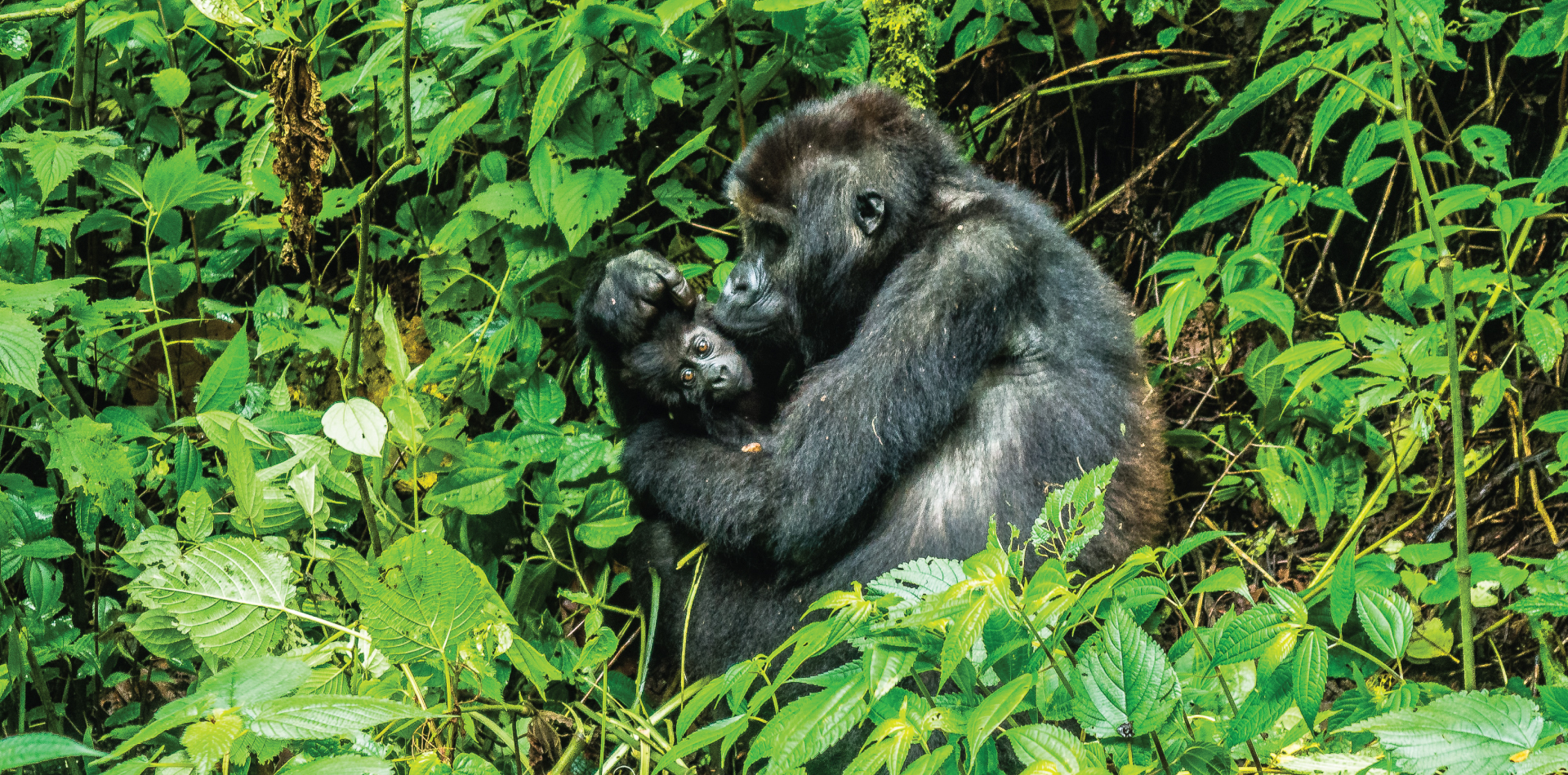 Italy by night Sunset in Italy