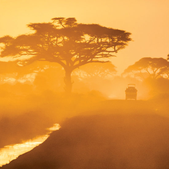 africa's ultimate safari destinations