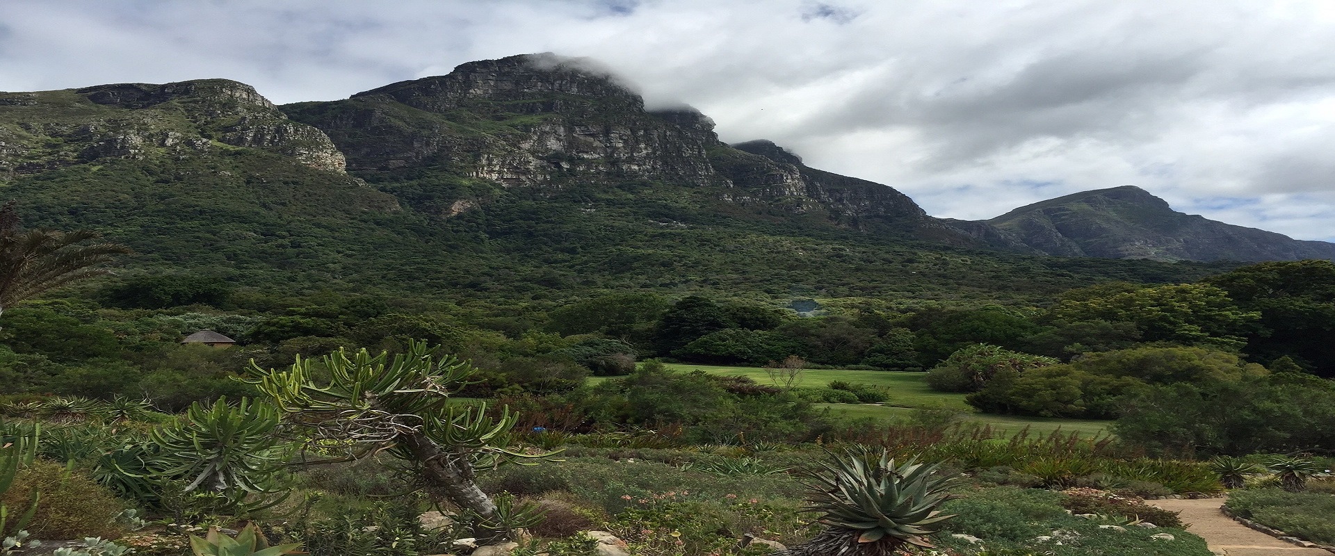 cape town Kirstenbosch