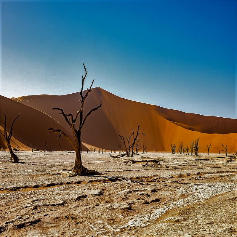 dead vlei sossusvlei Namibia